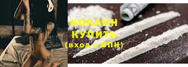 apvp Богородицк