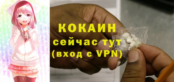 apvp Богородицк