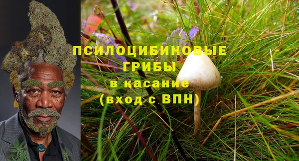 гашик Балахна