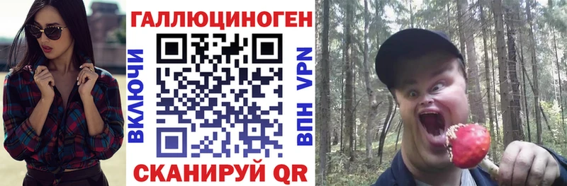 закладка  Городец  Галлюциногенные грибы GOLDEN TEACHER 